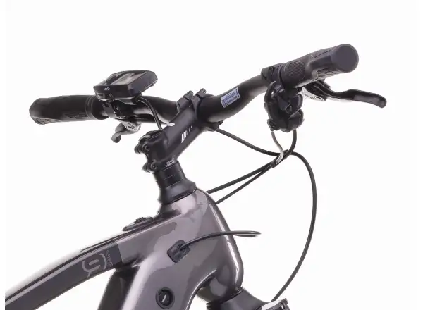 Crussis ONE-Cross 9.11 715Wh rower elektryczny trekkingowy