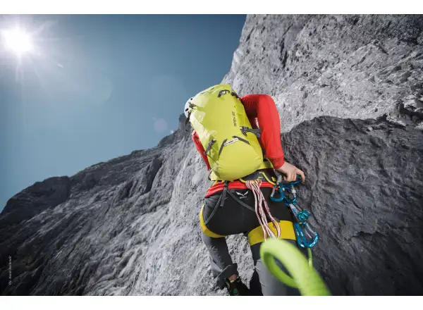 Salewa HMS Screw G2 Medium karabinek Blue