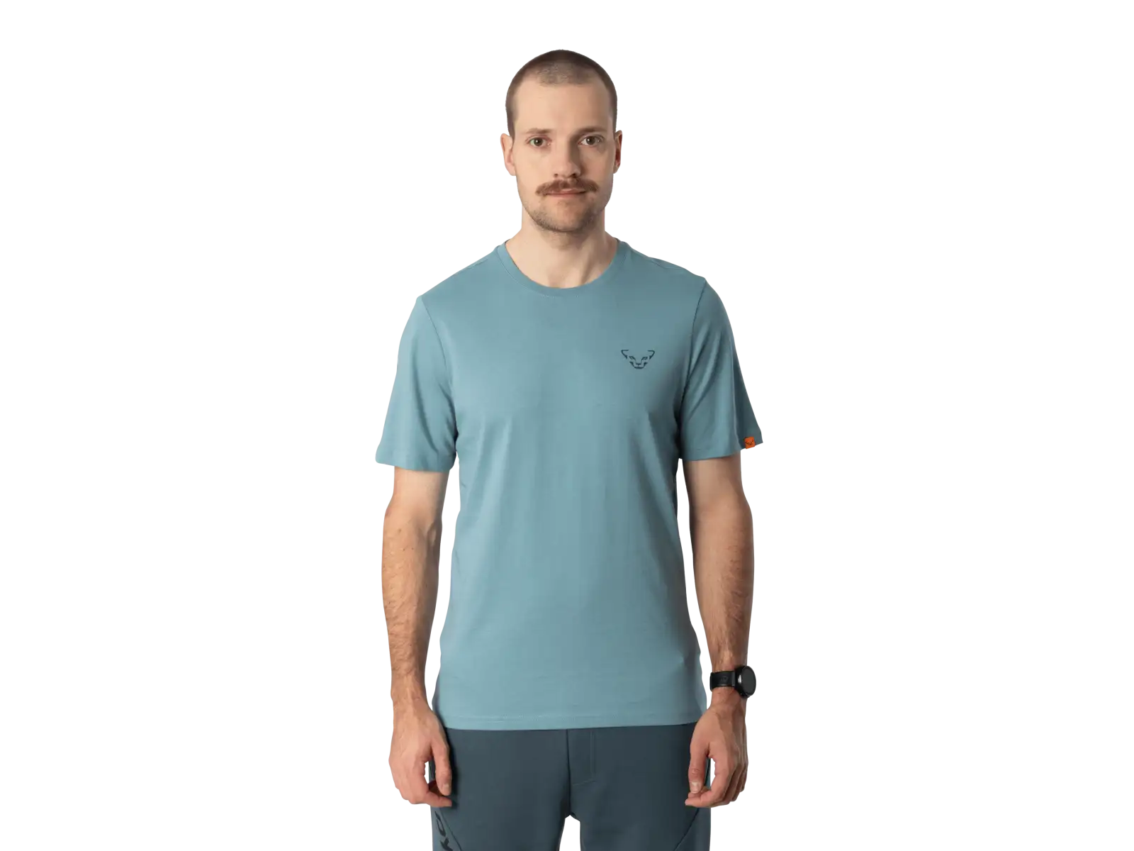 Dynafit Back Graphic Cotton męska koszulka z krótkim rękawem Smoke Blue/Approach