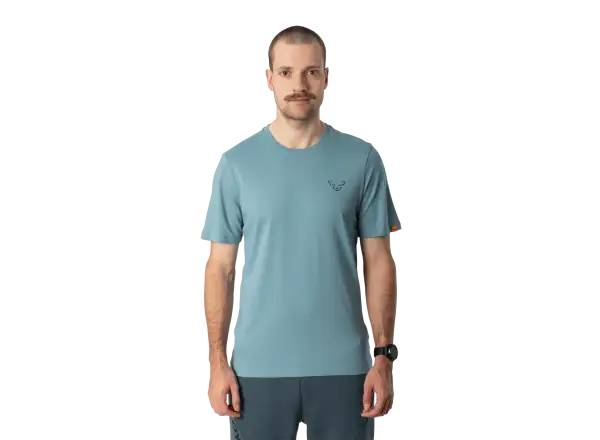 Dynafit Back Graphic Cotton męska koszulka z krótkim rękawem Smoke Blue/Approach