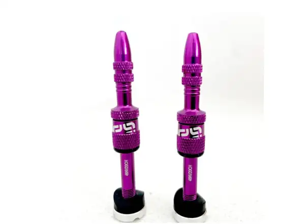E-13 Quick Fill bezdętkowe wentylki 23-31 mm 2 sztuki Eggplant