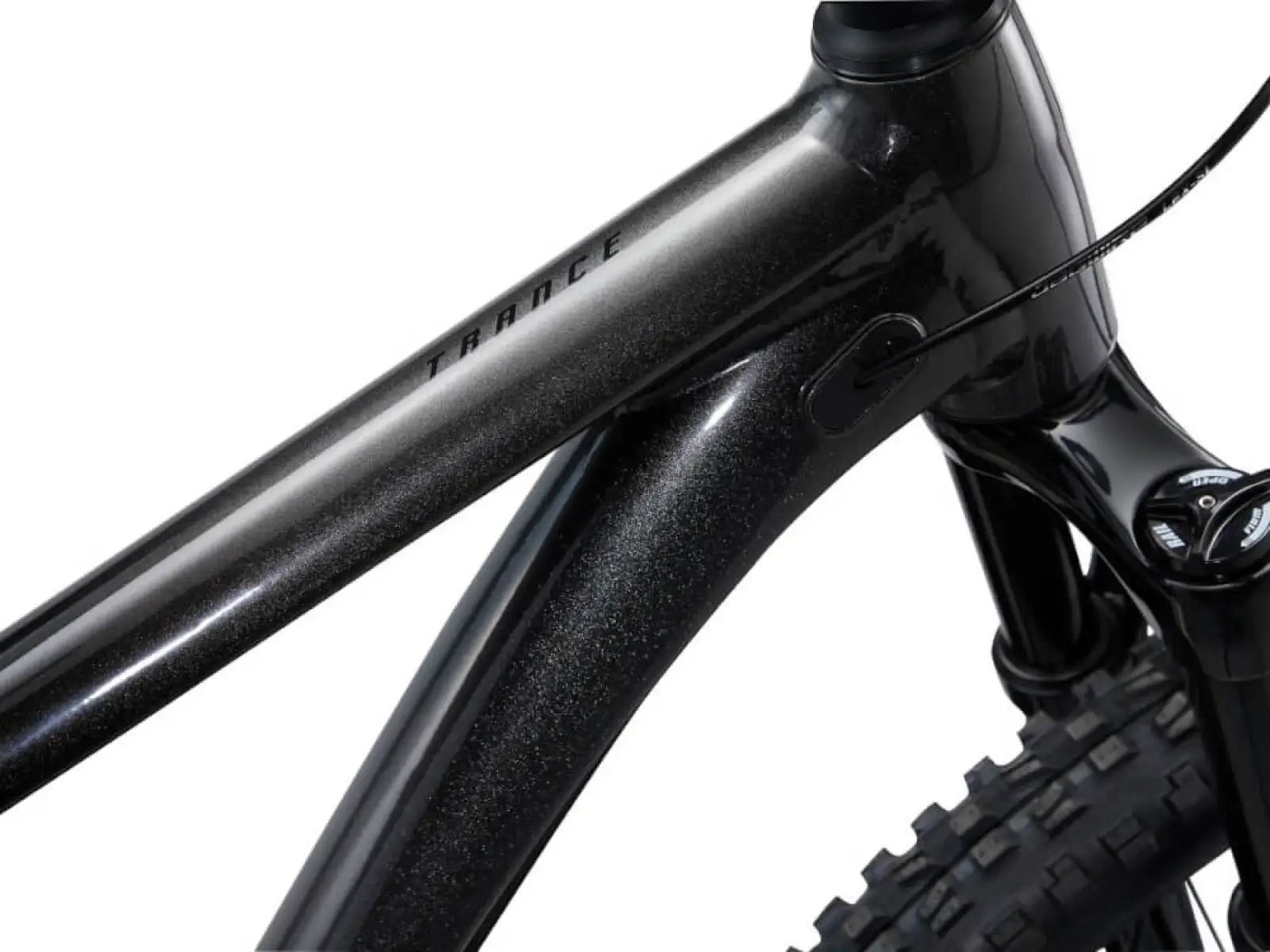 Giant Trance 29 2 pełnowyprawowy rower górski Metallic Black
