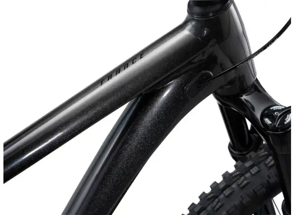 Giant Trance 29 2 pełnowyprawowy rower górski Metallic Black