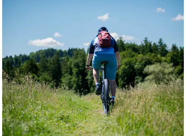 Endura Hummvee męskie spodenki z wkładką Brick