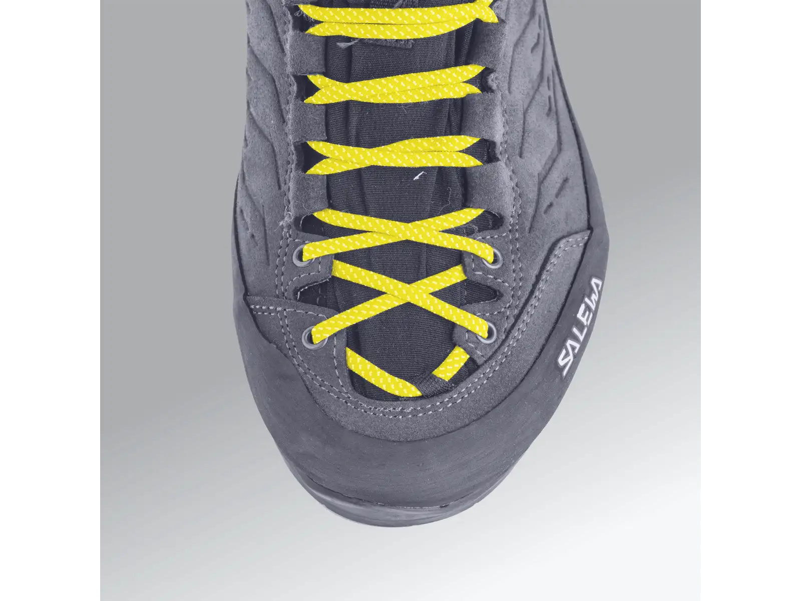 Salewa Alp Trainer 2 GTX męskie buty Bungee Cord/Black