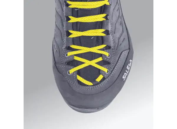 Salewa Alp Trainer 2 GTX męskie buty Bungee Cord/Black
