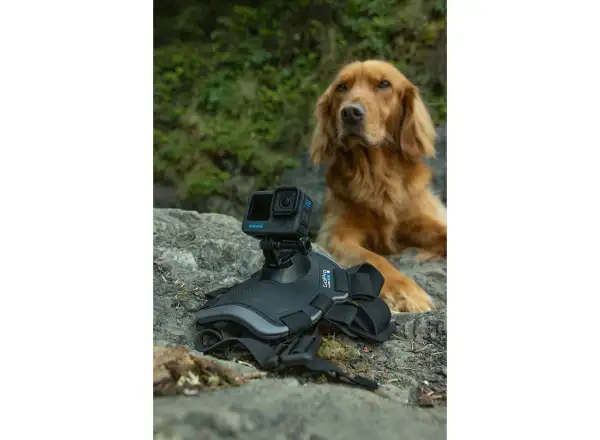 GoPro Szelki dla psa