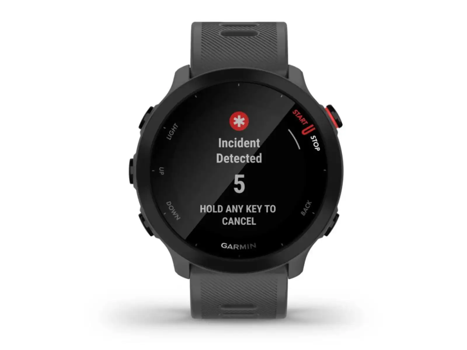 Garmin Forerunner 55 inteligentny zegarek Grey