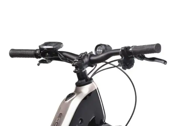 Crussis e-Country 10.10-M (720 Wh) rower elektryczny z niskim wejściem