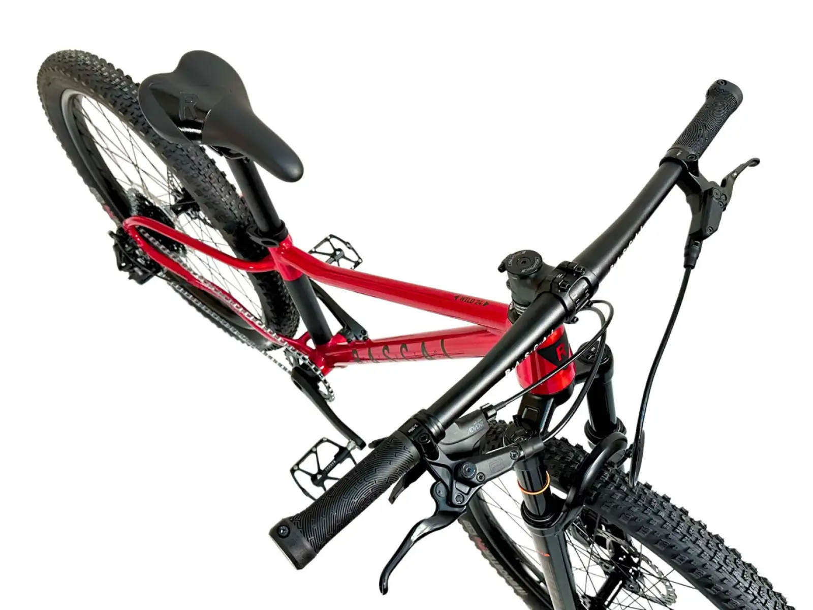 Rascal Wild 24 rower dla dzieci Ruby Red