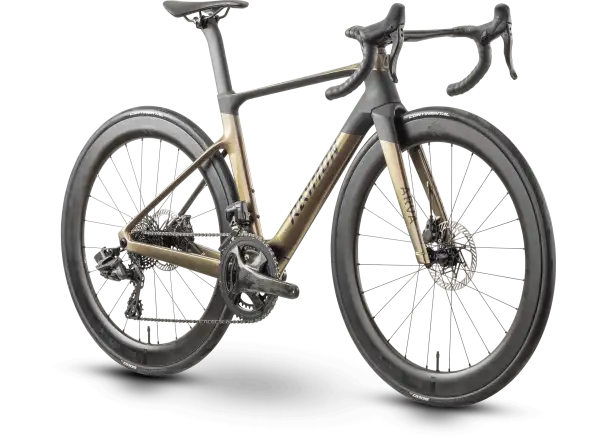 Raymon Arva Elite 26s Record rower szosowy carbon/champagne