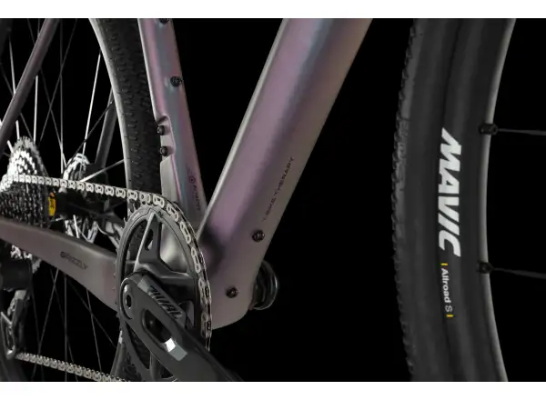 4Ever Grizzly AXS rower gravelowy Titan Rainbow