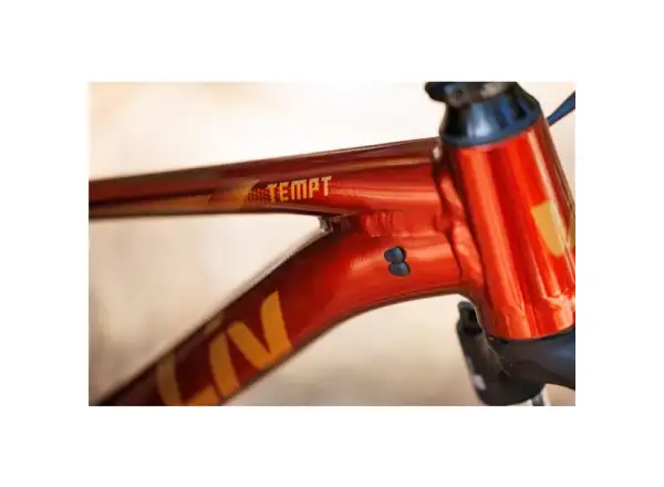 Giant Tempt 29 2 rower górski Mars Dust