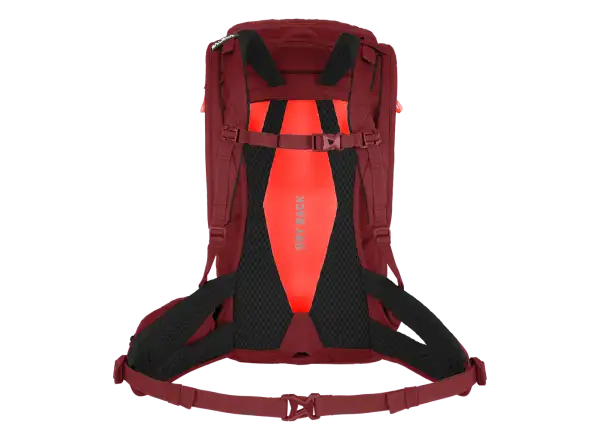 Salewa Alp Trainer damski plecak 20l Syrah